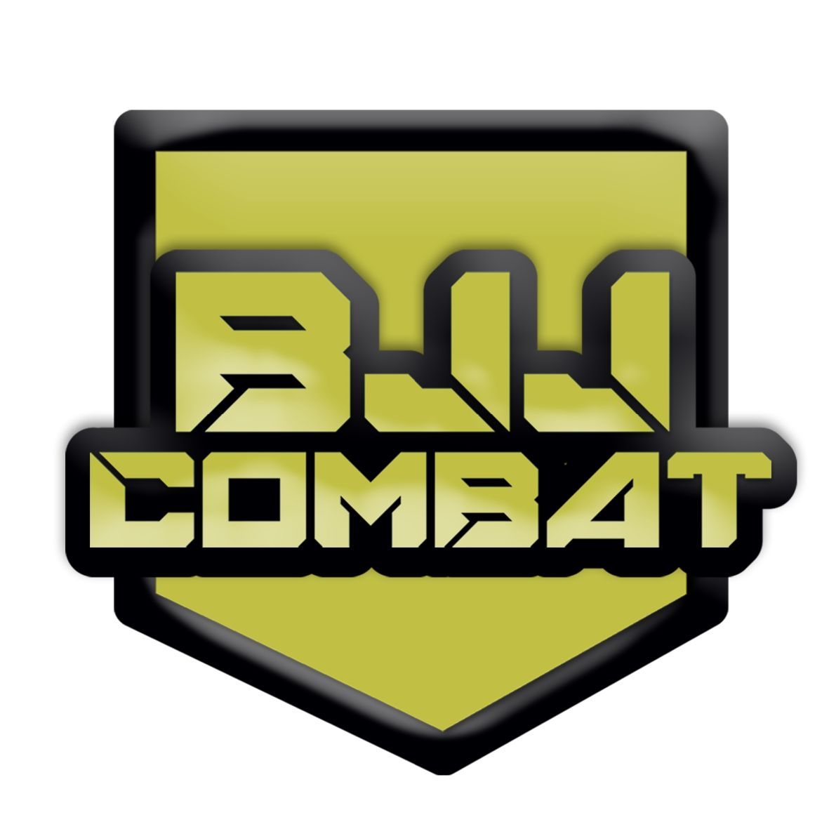 Regalmento BJJ Combat.