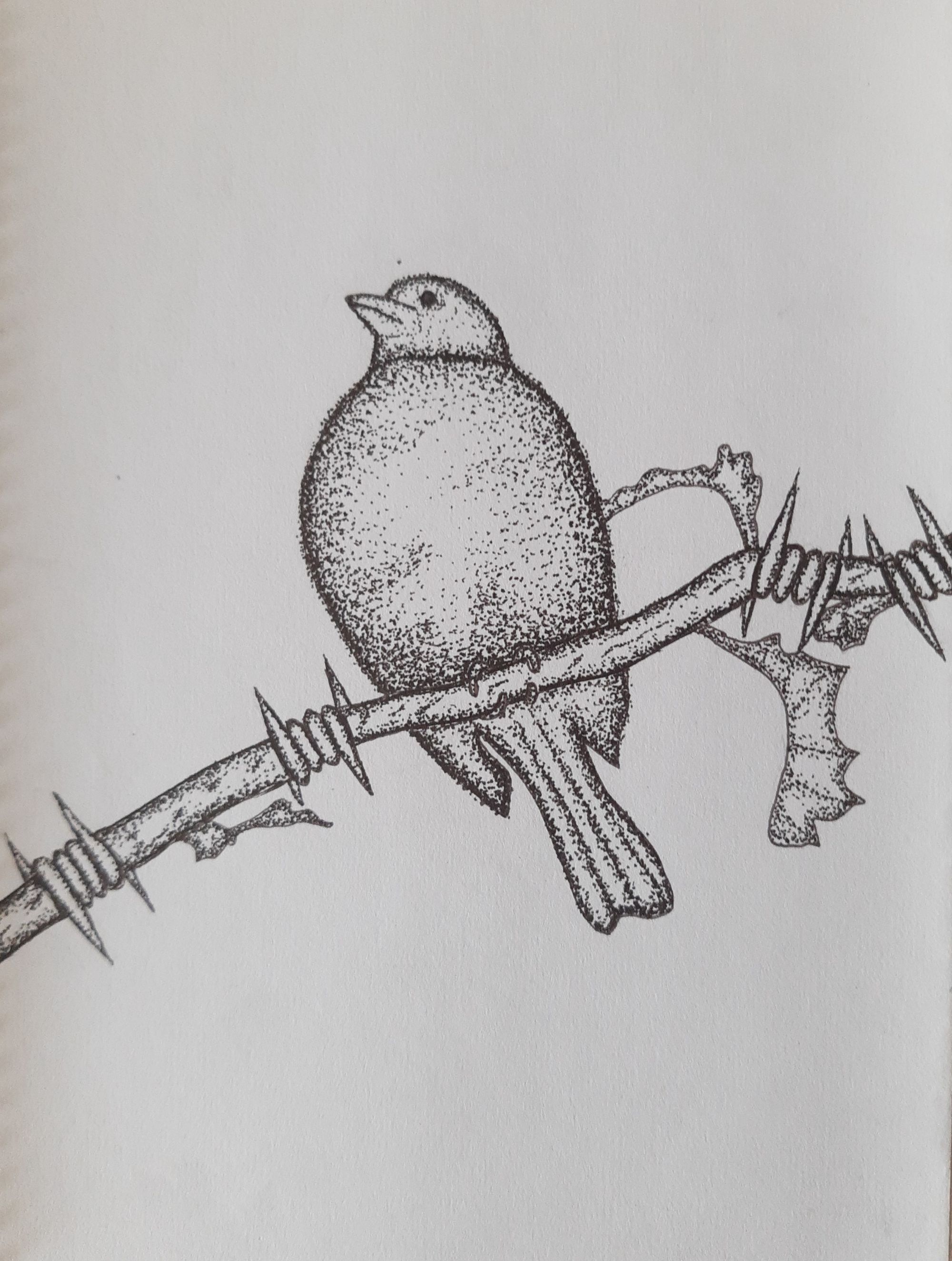 Thornbird