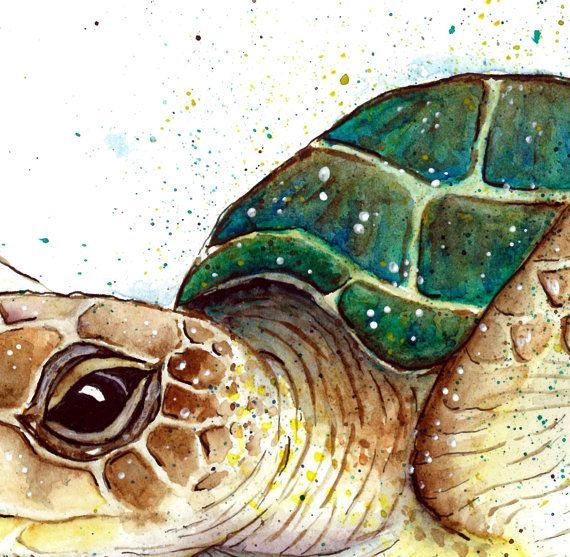 El juego de la tortuga