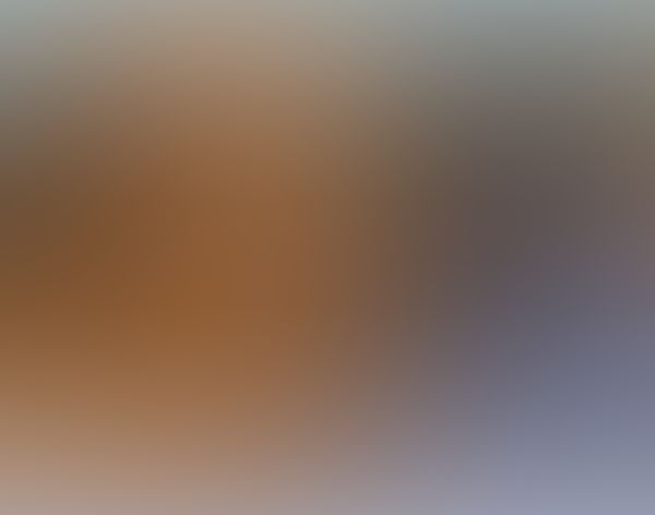 Te di mi corazón 🎶