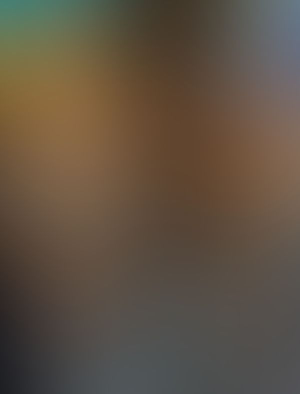 🚫🚫🚫🚫🚫🚫