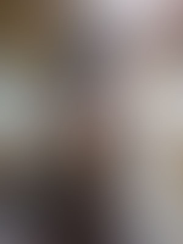 🔥🔥🔥🔥🔥🔥✨