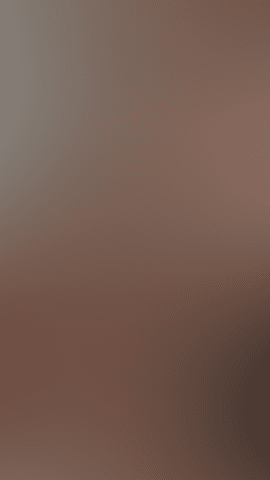 Gif🐚