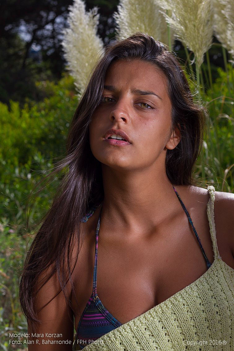 MODELOS