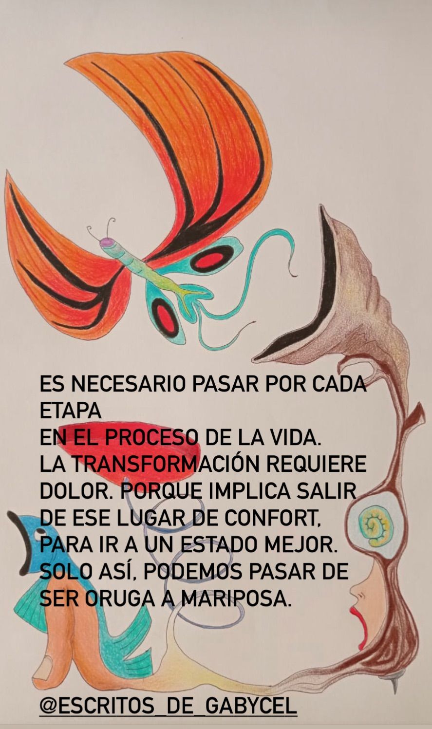 De oruga a mariposa 🦋