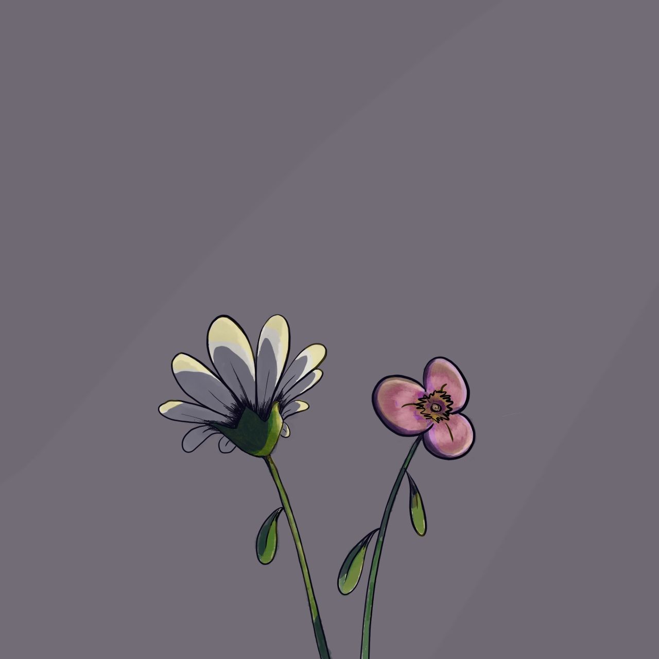 🌺