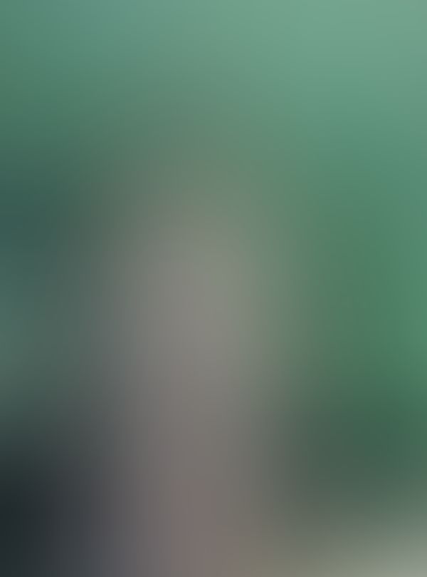 🐬