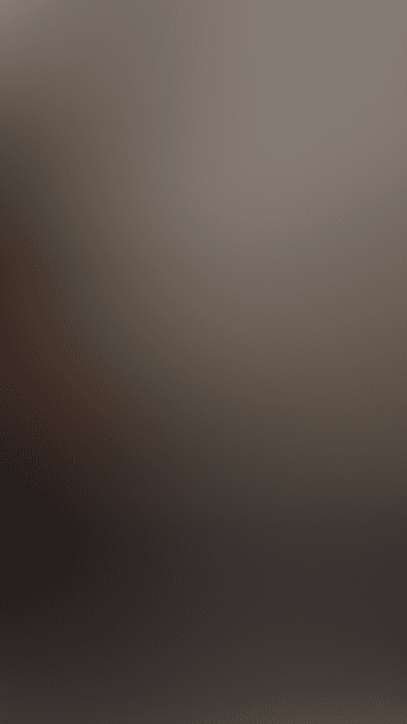 🐰gif