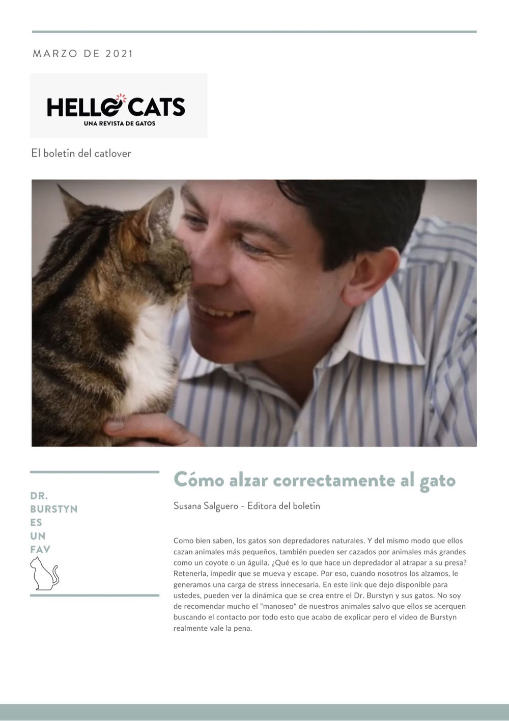 Cómo alzar correctamente a nuestro gato
