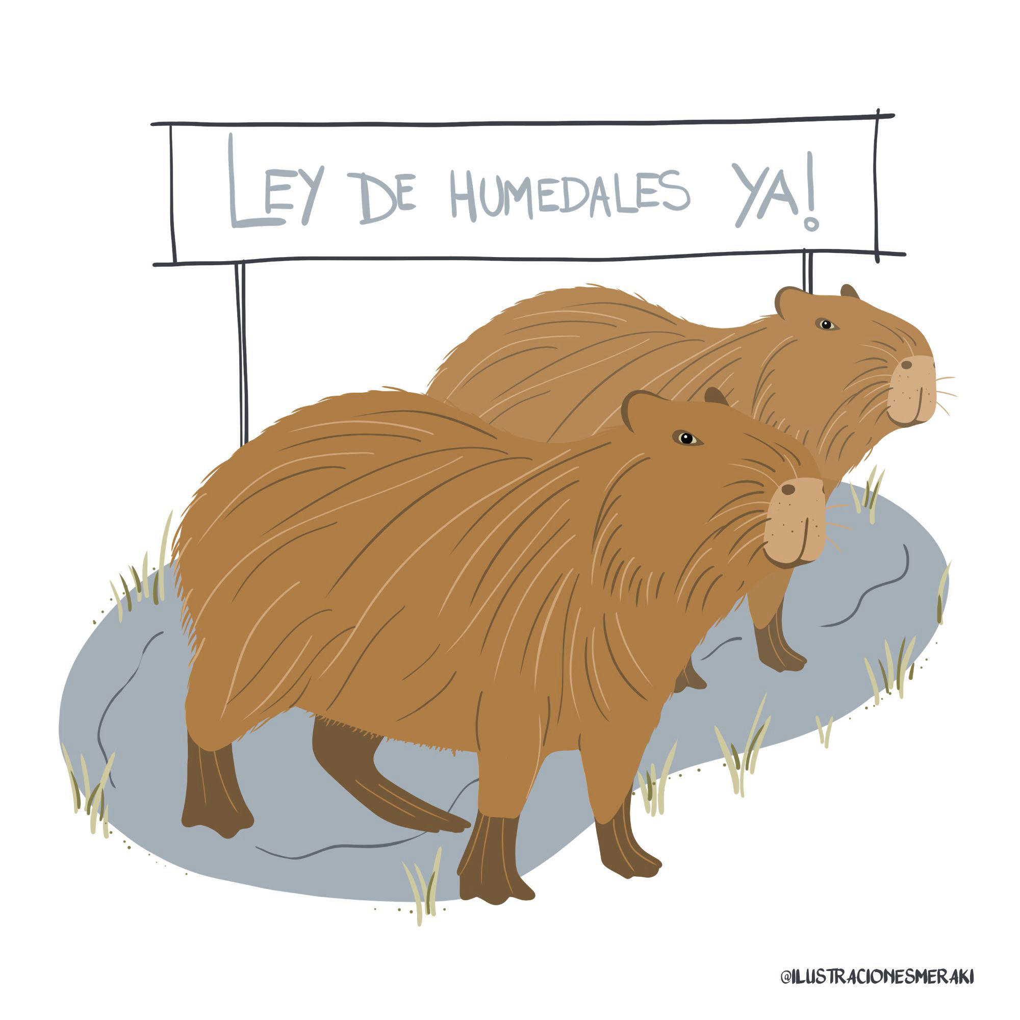 Ley de humedales ya !
