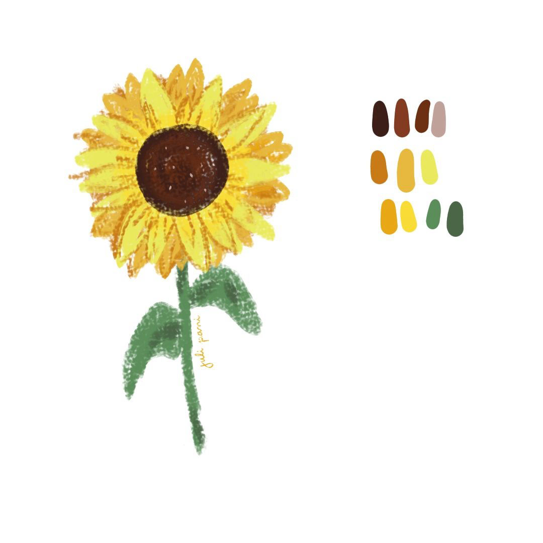 girasol