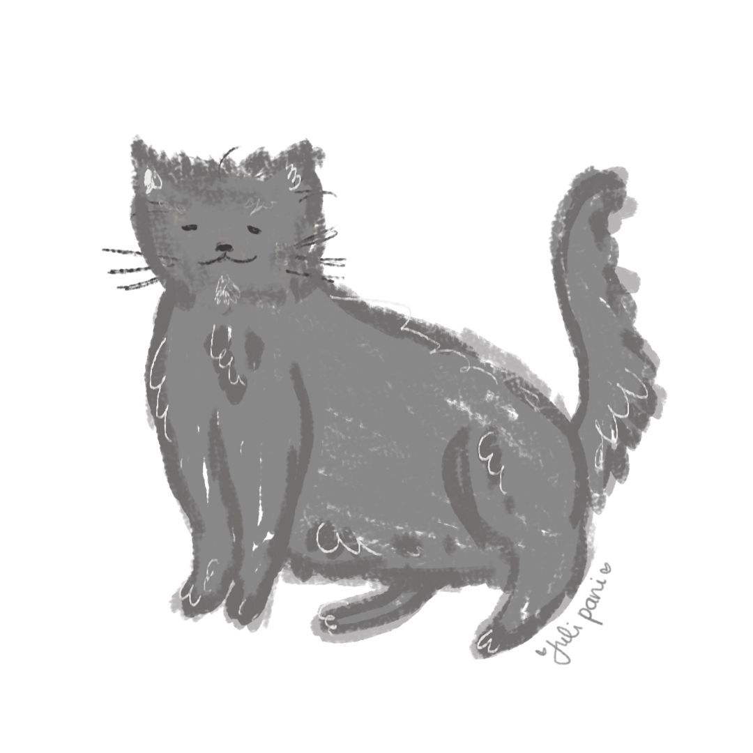 un gato gordo