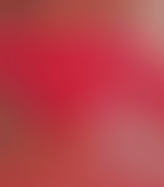 blusa roja a