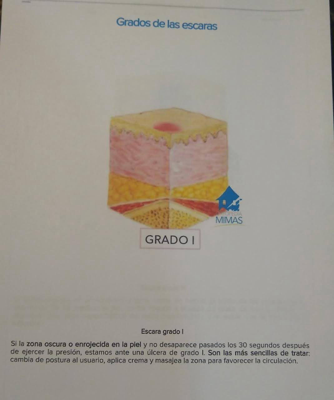 Grado1