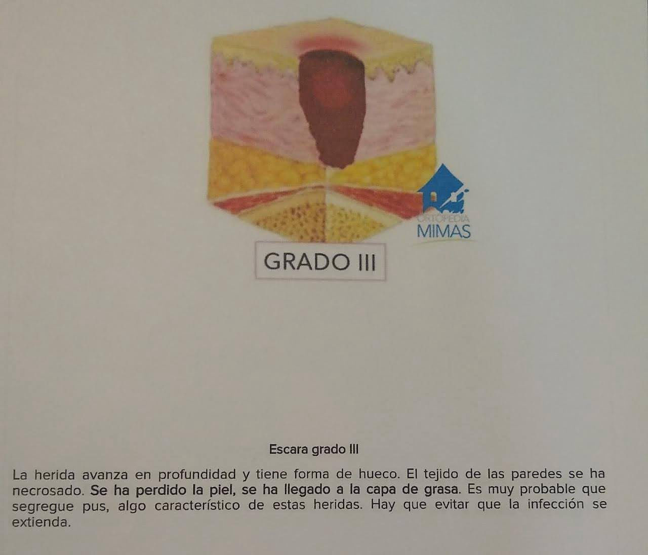 Grado 3