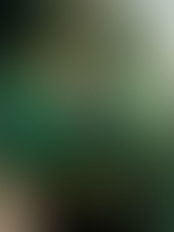 💚