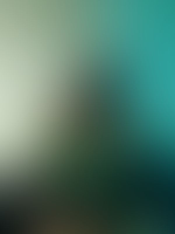 💚