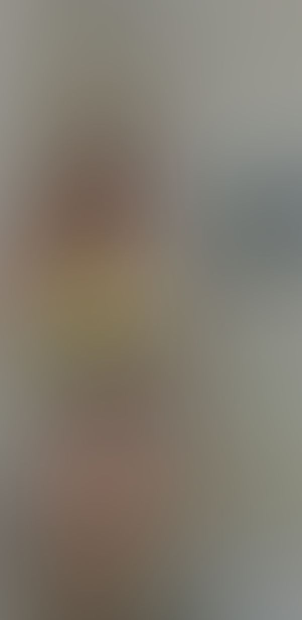 🐱