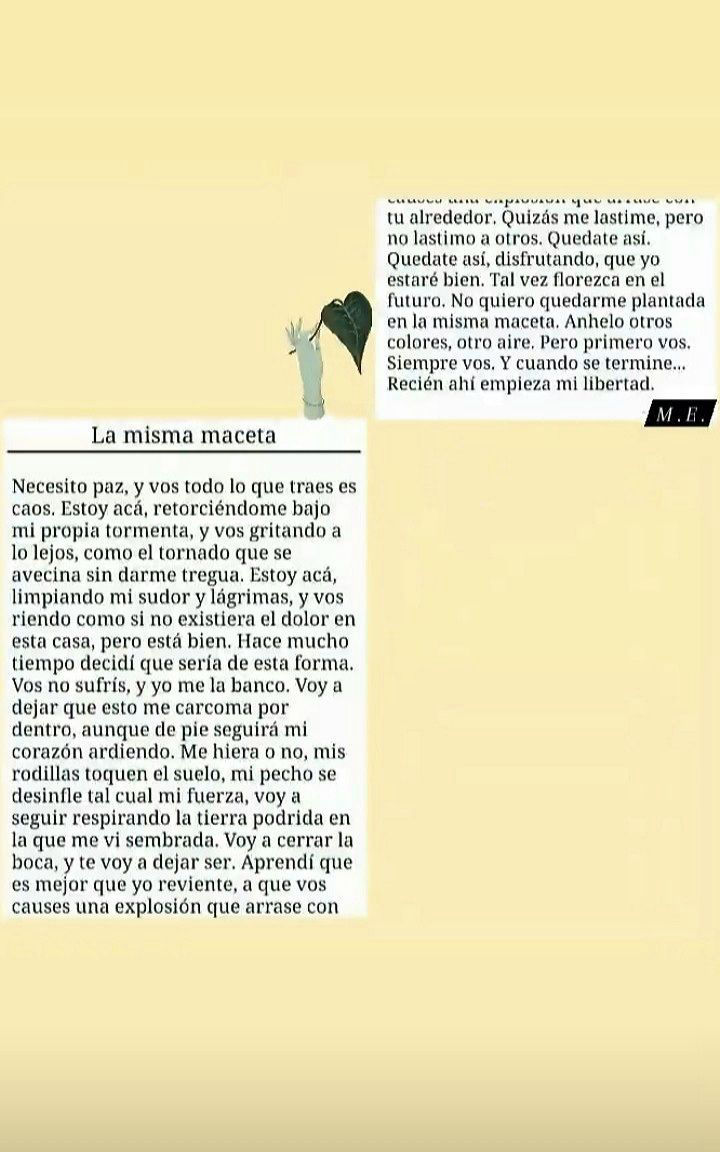 La misma maceta