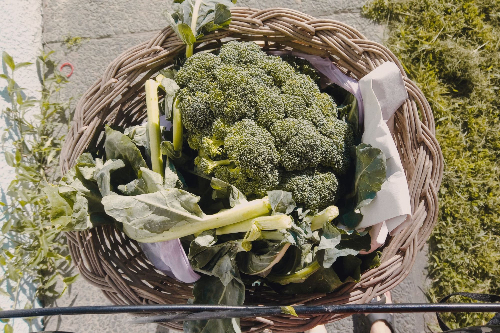 🥦🥦🥦