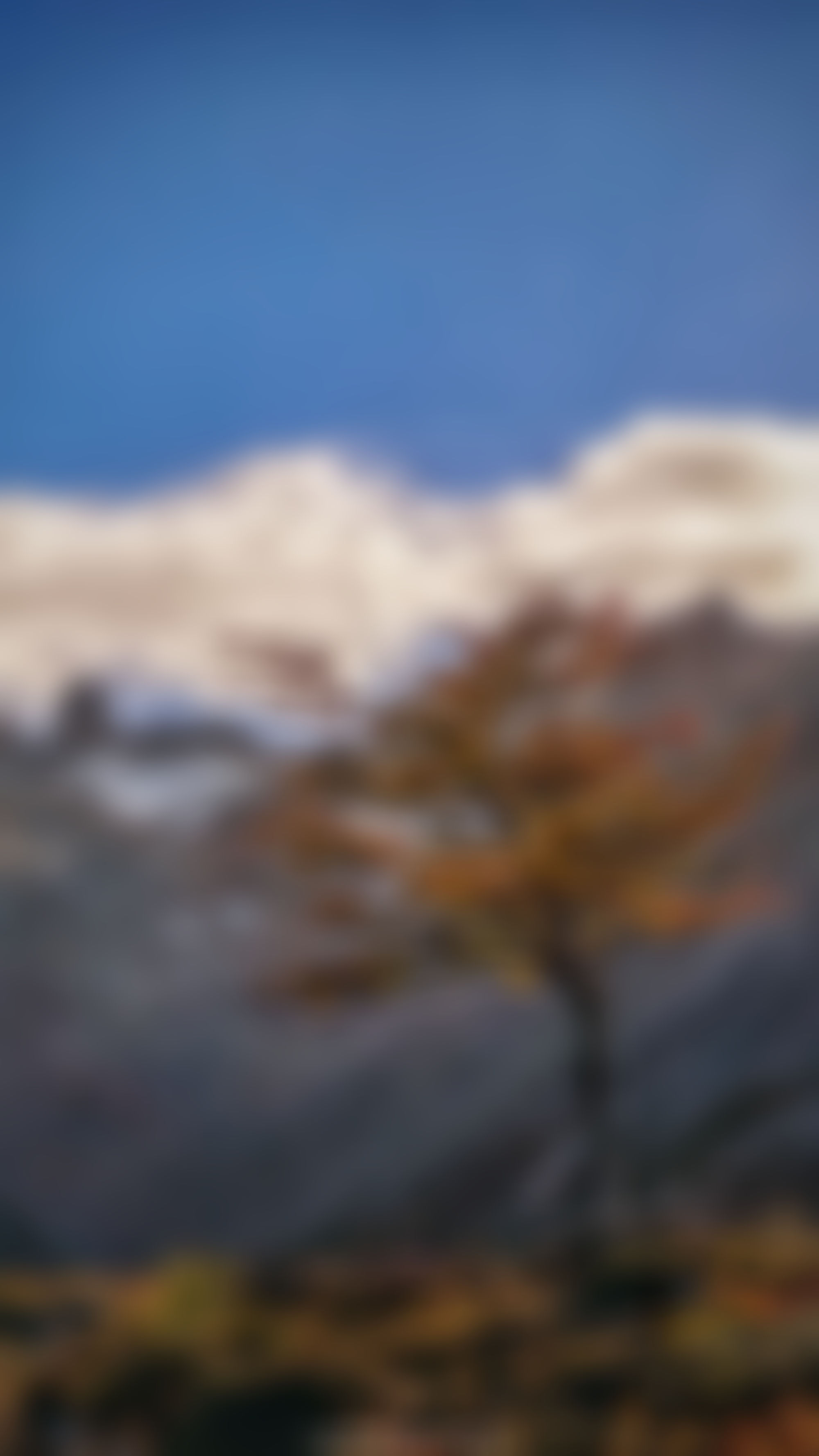 Lenga Otoño - Ushuaia