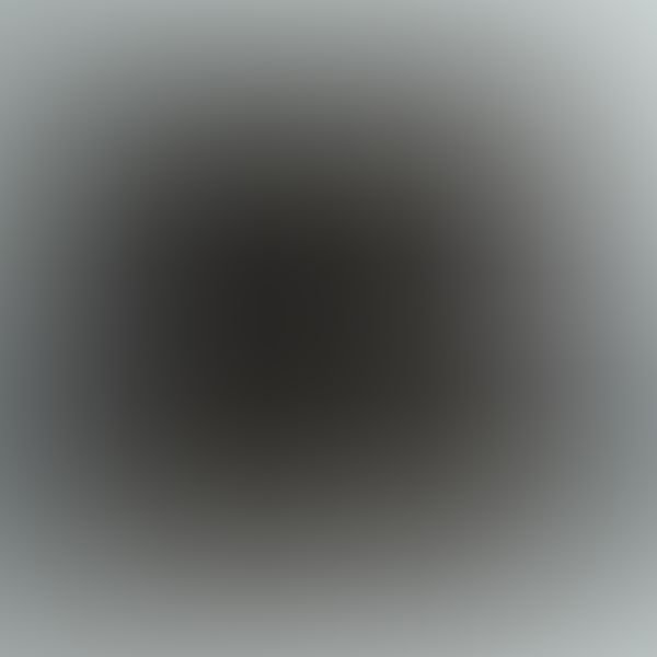 Descarga (Ebook) LOS OTROS