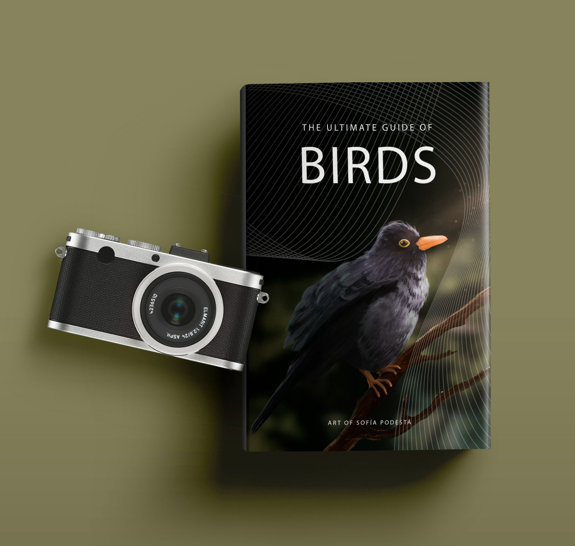 Portada para libro de Aves