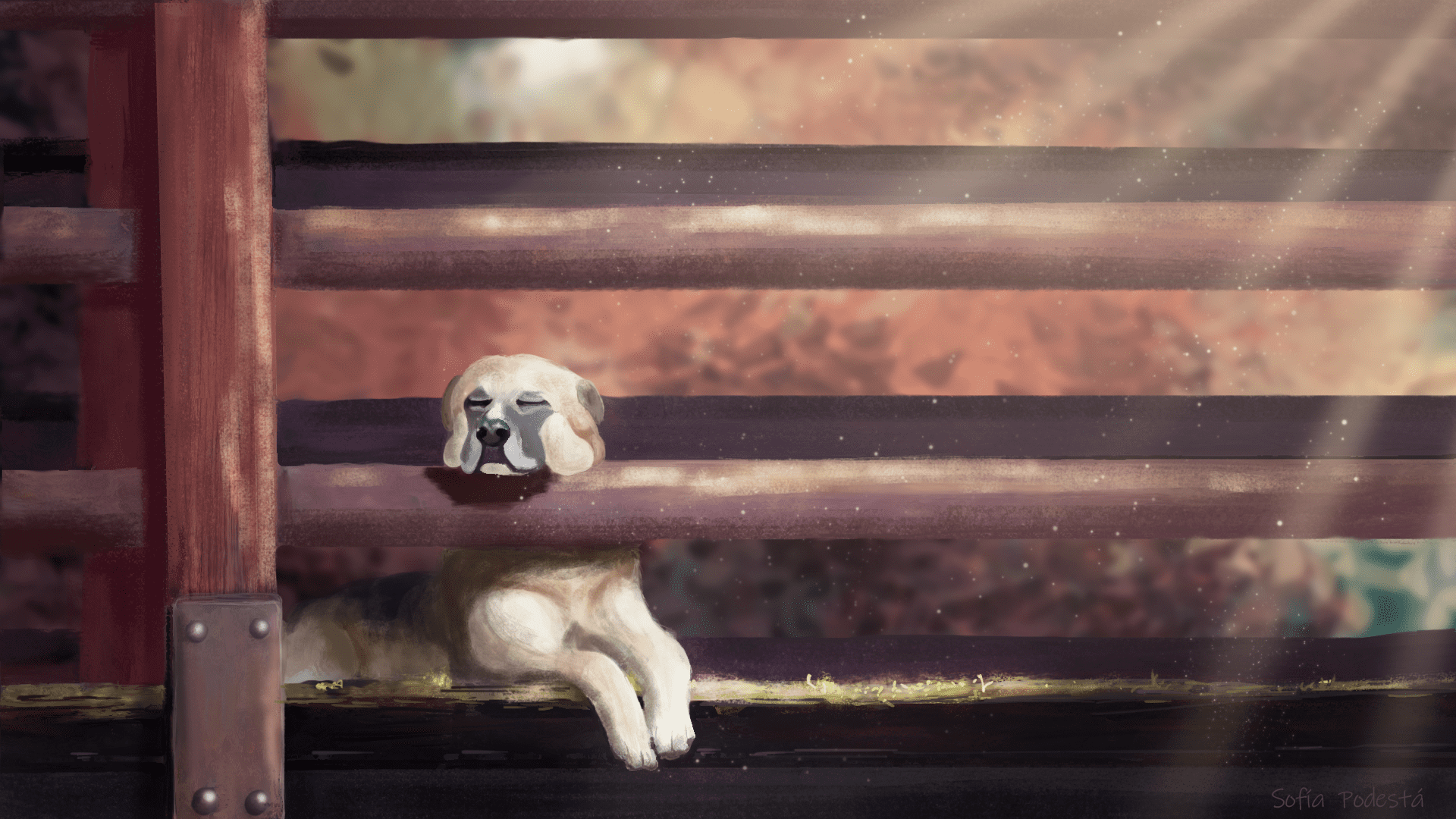 Retrato de Mascota