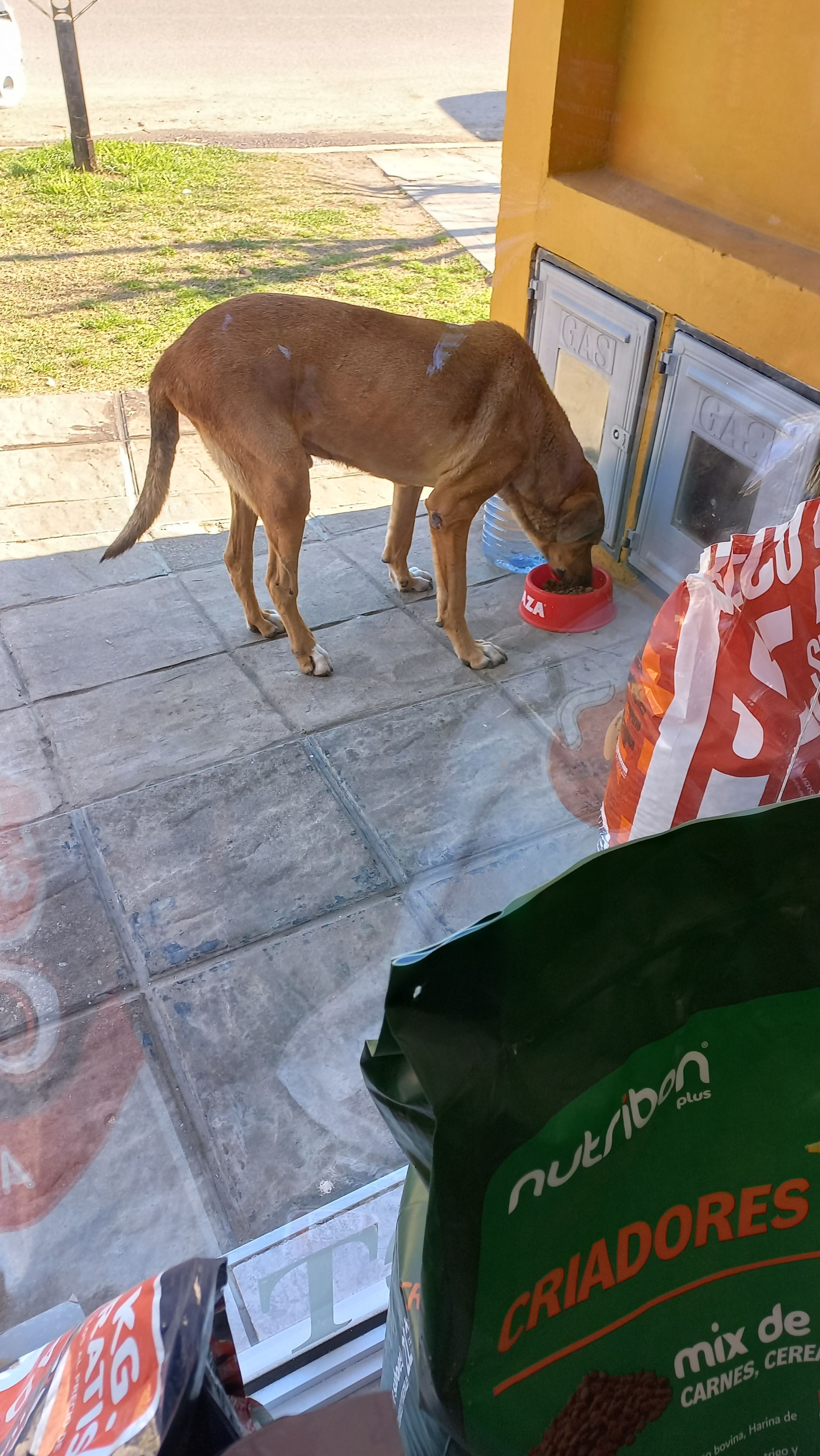 Merendando