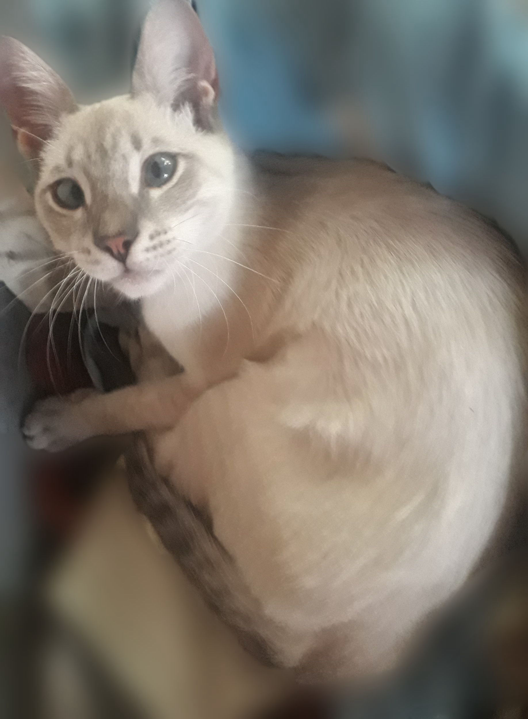 Silver ❤