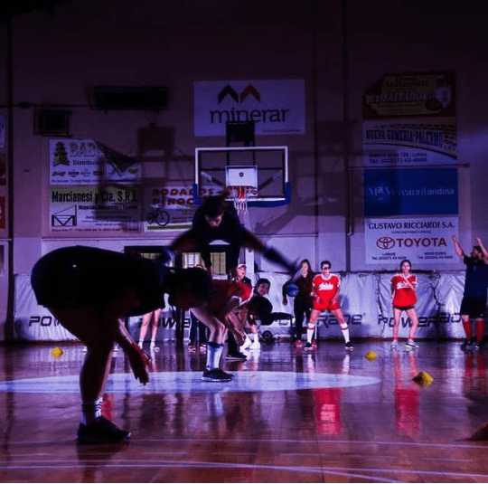 La Obsesión de los Lobos (2021)