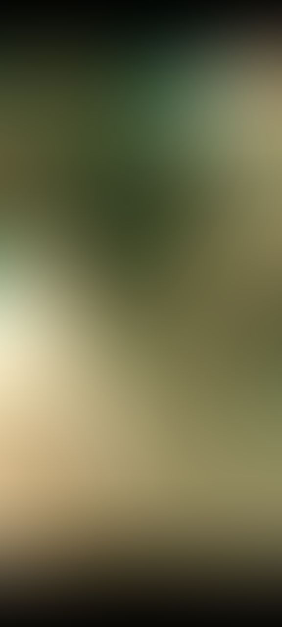 ✨