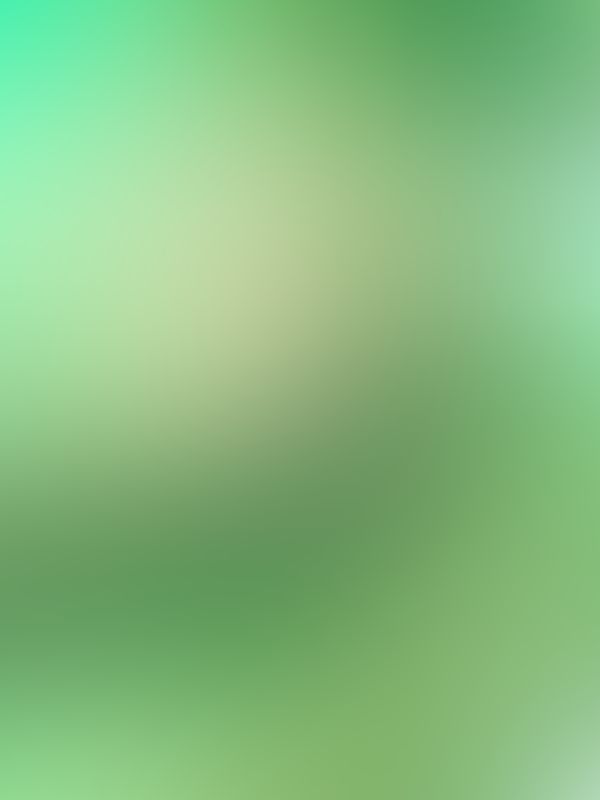 ✨