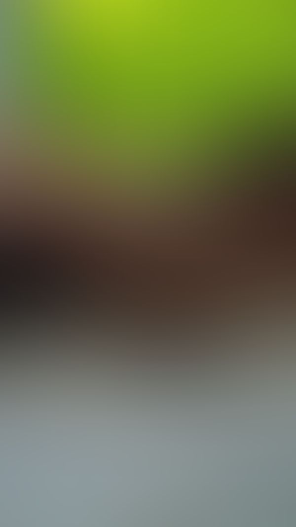 Al piso amor 🥵🔥