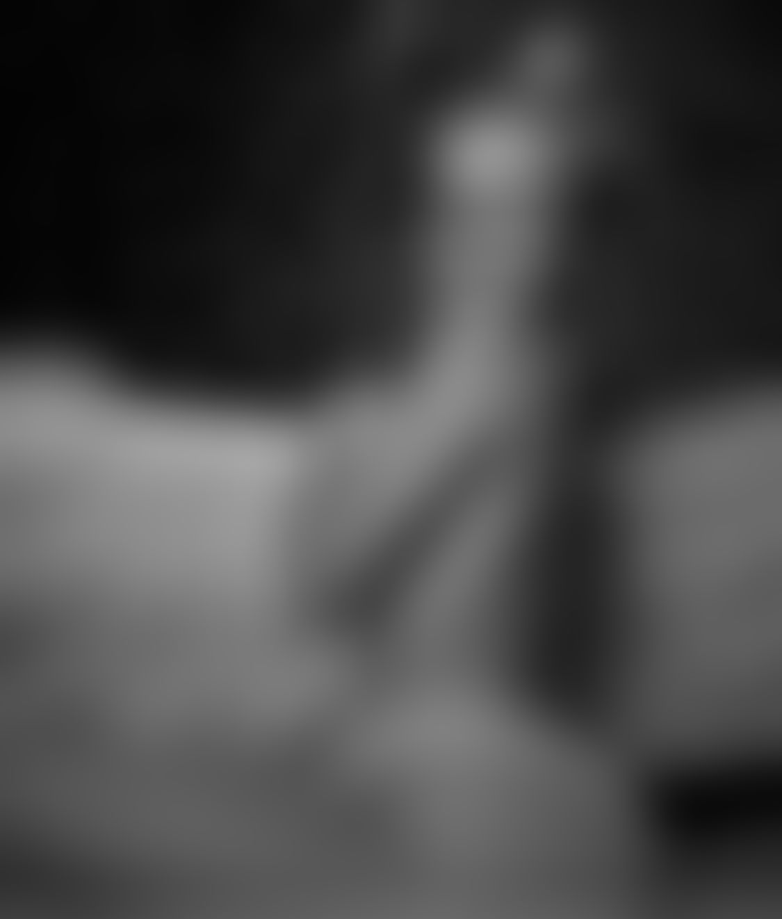 OnlyFans *nude*
