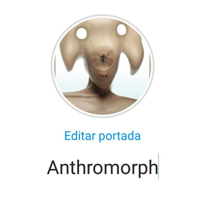 Arte performatico