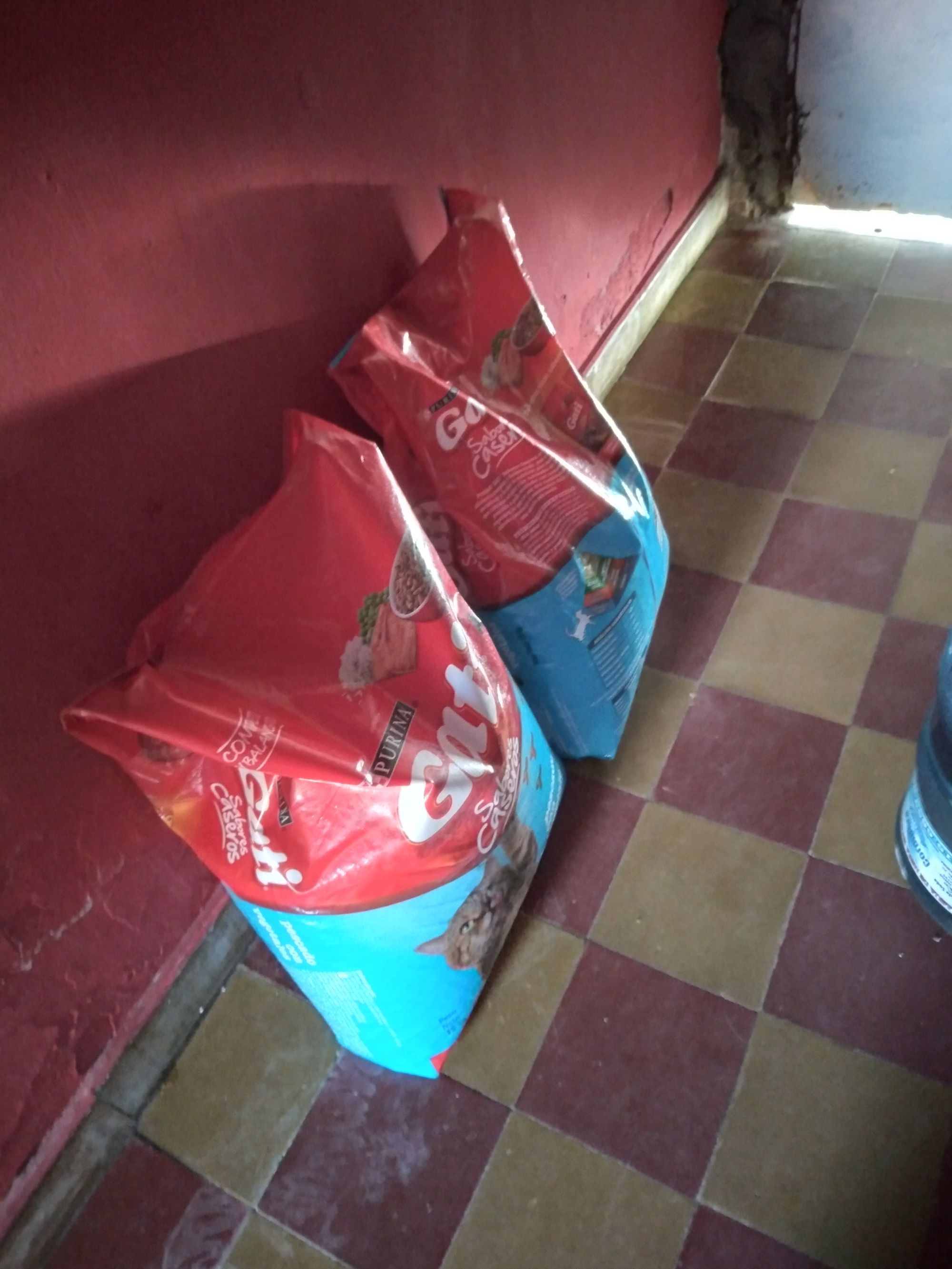 La compra del mes