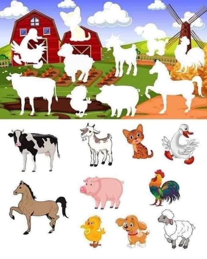 🐕Vocabulario: ANIMALES