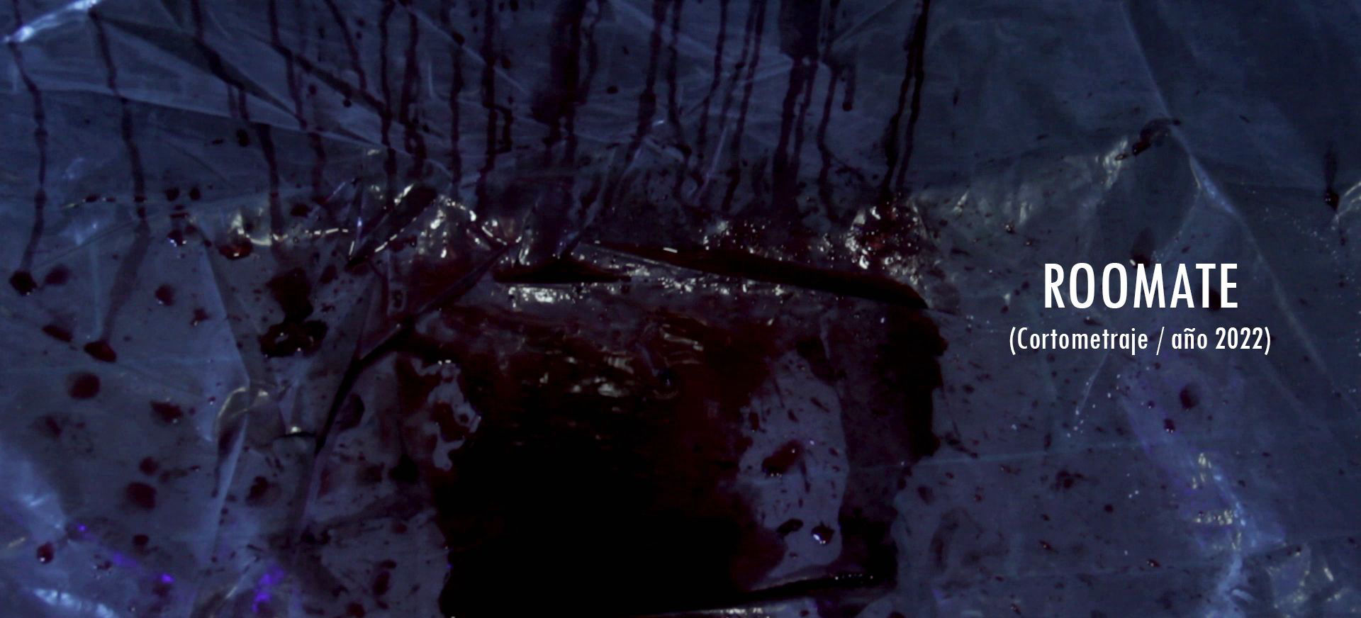 ROOMATE - Cortometraje (2022)