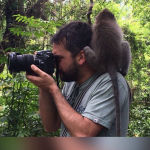 Imagen de perfil
