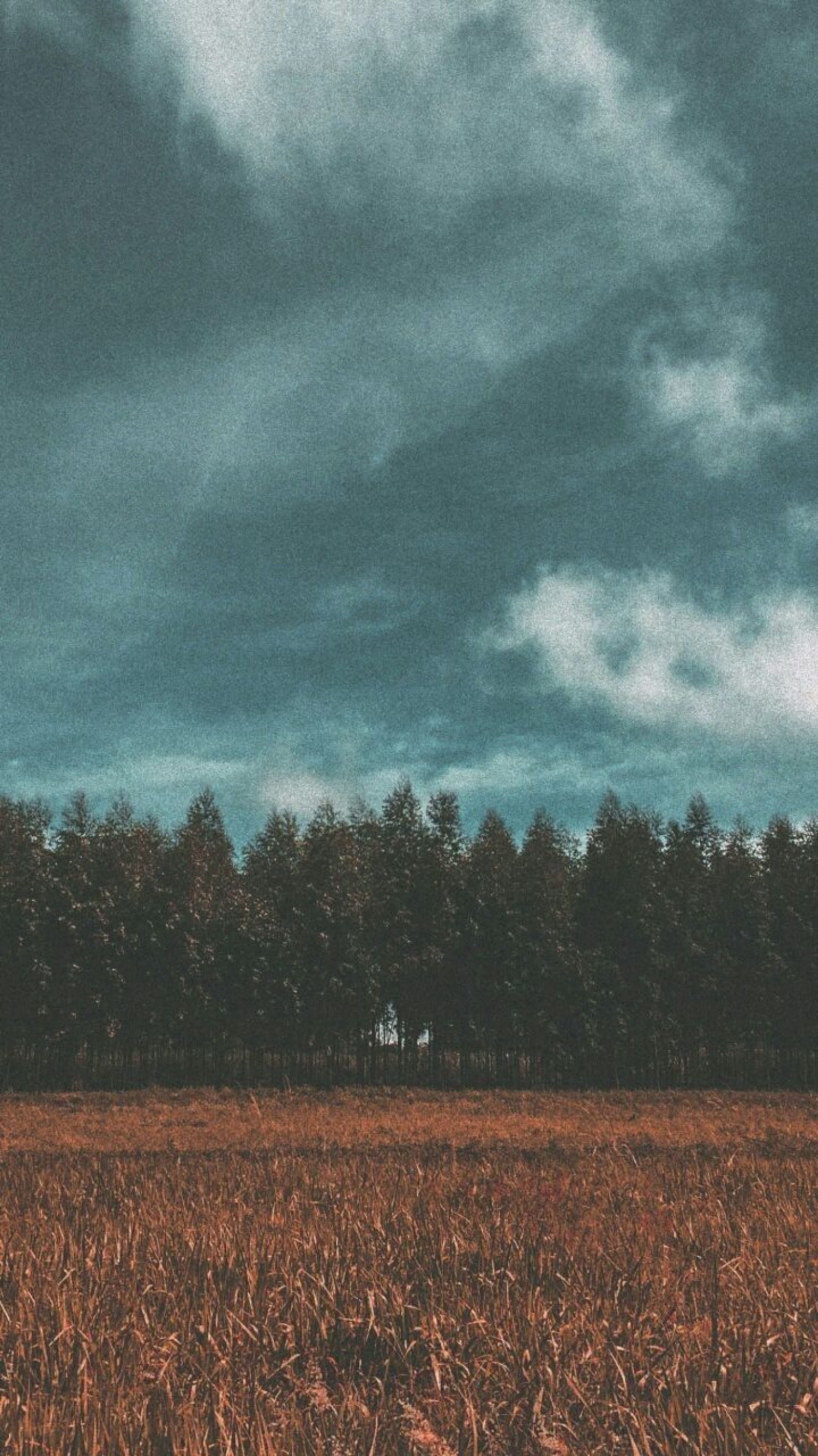 Imagen de portada