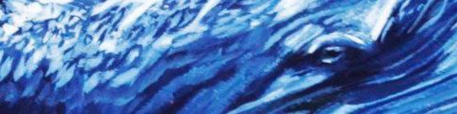 Imagen de portada