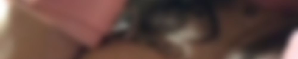 Imagen de portada