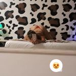 Imagen de perfil