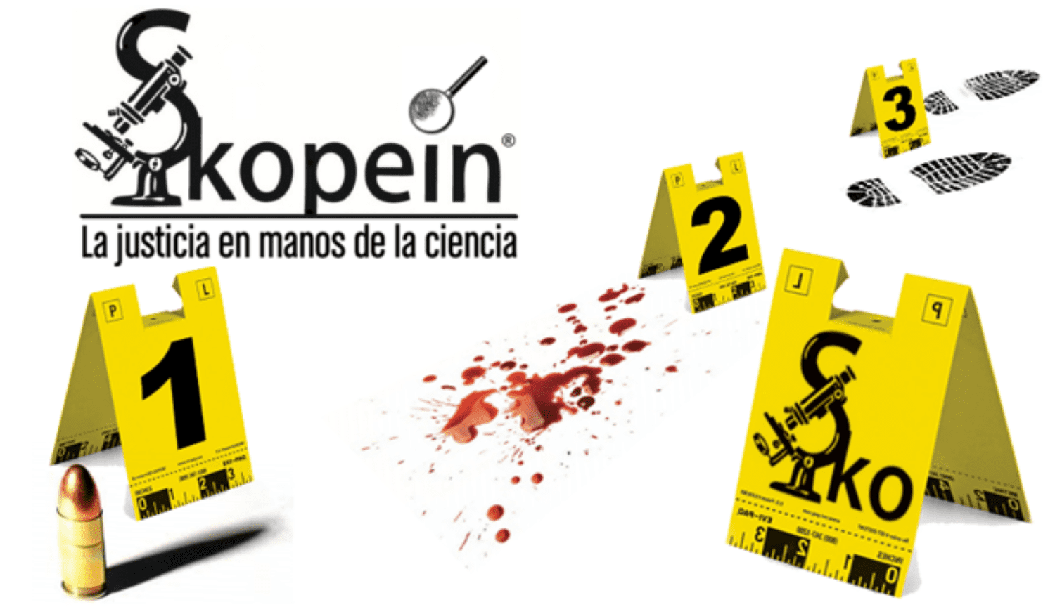 Imagen de portada