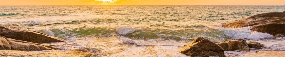 Imagen de portada