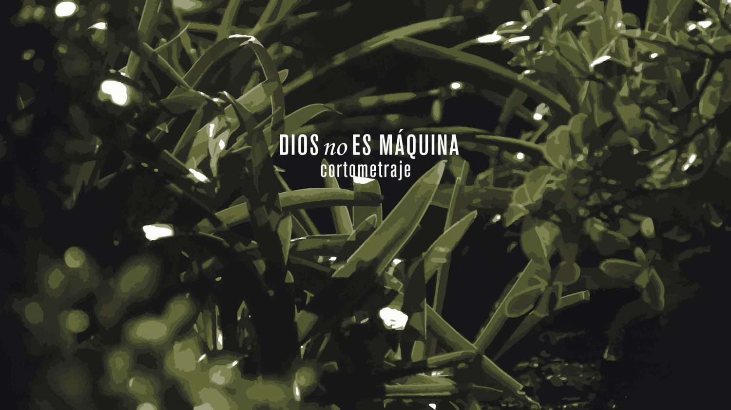 Imagen de portada