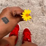Imagen de perfil