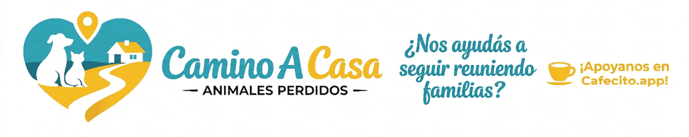 Imagen de portada