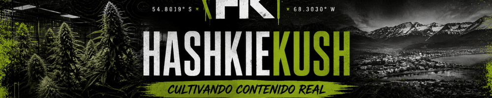 Imagen de portada